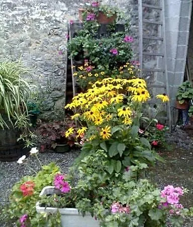 Bed and breakfast Ambiances D 'hotes 3*