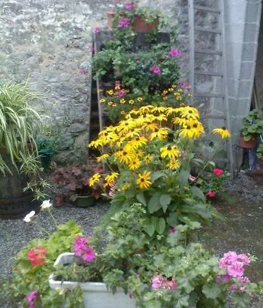 Bed and breakfast Ambiances D 'hotes Baye (Marne)