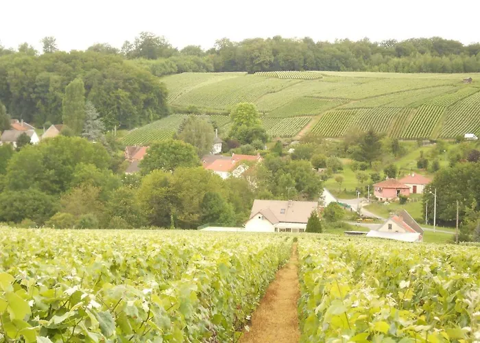 Ambiances D 'hôtes Baye (Marne)