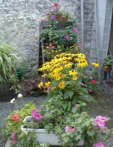 Couette-café Ambiances D 'hôtes Baye (Marne)